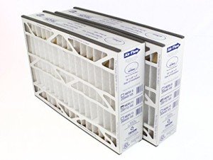 Trion Air Bear Pleated Air Filter 2-Pack