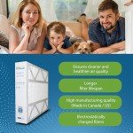 AirPurete AP-LX20255 Replacement Filter, Pack of 4