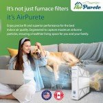 AirPurete AP-LX20255 Replacement Filter, Pack of 4