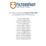 Carrier P102-1625 MERV 11 Replacement Filters 2-Pack