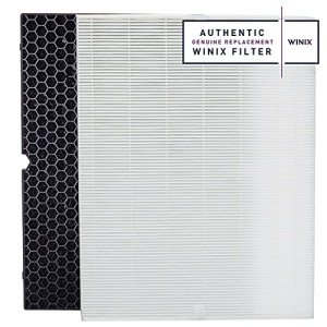 Winix 116130 Replacement Filter H for 5500-2