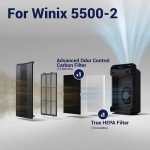 Winix 116130 Replacement Filter H for 5500-2