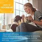 17x26x5 MERV 10 Aftermarket Filters (2 Pack)