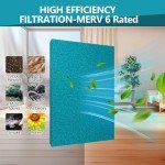 Reusable 20x30 Air Filter, MERV 6 - 24 Pack