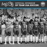 20x30x1 MERV 8 Pleated Air Filter 4-Pack