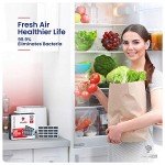 Whirlpool Refrigerator Air Filter Assembly - 2 Pack