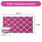 Color Changing 18x30x1 Air Filters for Pets