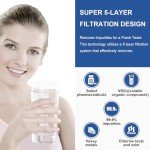 PAHOLD Replacement Water Filter 2-Pack