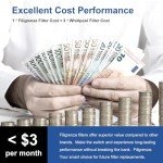 PAHOLD Replacement Water Filter 2-Pack