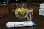 Kenmore 46-9083 Water Filter Replacement (3 Pack)