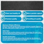 Replacement HEPA Carbon Filters for Honeywell & Vicks