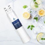 TEEHAY Water Filter Replacement 2-Pack Compatible