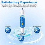 Golden IcePure Inline Water Filter Replacement (2 Pack)