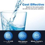 Golden IcePure Inline Water Filter Replacement (2 Pack)