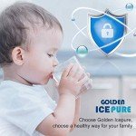 Golden IcePure Inline Water Filter Replacement (2 Pack)