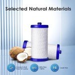 Waterdrop WF1CB Frigidaire Refrigerator Water Filter Set