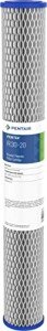 Pentair R30-20 Whole House Water Filter Cartridge