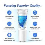 ICEPURE Refrigerator Water Filter 2-Pack for Fisher & Paykel