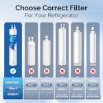ICEPURE Water Filter Replacement for Everydrop 3 - 3 Pack