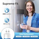 ICEPURE Water Filter Replacement for Everydrop 3 - 3 Pack