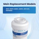 Golden IcePure RWF0600A Refrigerator Water Filter Replacement
