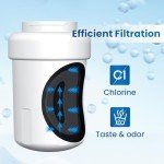 Golden IcePure RWF0600A Refrigerator Water Filter Replacement