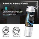 ICEPURE PLUS UKF8001 Water Filter 4-Pack