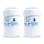2-Pack Hotpoint Refrigerator Water Filter Replacement