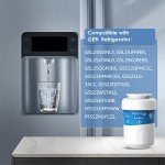 Waterdrop WD-F13 GE SmartWater Replacement Filter