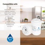 2-Pack Hotpoint Refrigerator Water Filter Replacement