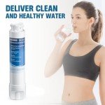 Frigidaire Water Filter Replacement Pack of 3