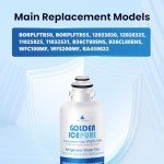 GOLDEN ICEPURE Refrigerator Water Filter Replacement 2-Pack