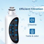 GOLDEN ICEPURE Refrigerator Water Filter Replacement 2-Pack