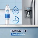 GOLDEN ICEPURE Refrigerator Water Filter Replacement 2-Pack