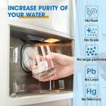 PUREPLUS Refrigerator Water Filter Compatible 2-Pack
