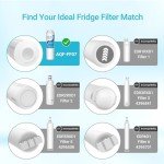 Aqua Crest Refrigerator Water Filter Replacement Pack of 3