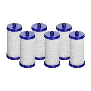 Aqua Fresh WF1CB Water Filter 6 Pack