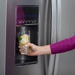 Whirlpool WHR2RXD1 Orange Water Filter Replacement