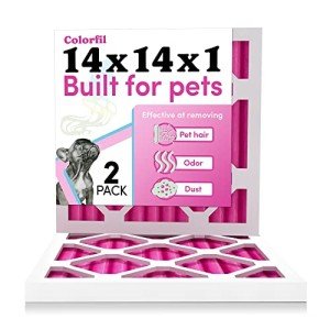 Color Changing Air Filters for Pet Odor - 2 Pack