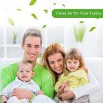 40 Pack 12x4 Air Vent Dust Filters