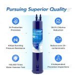 ICEPURE Refrigerator Water Filter 2-Pack Replacement