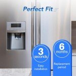 ICEPURE Refrigerator Water Filter 2-Pack Replacement
