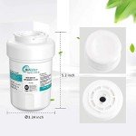 HiWater NSF/ANSI-42 Refrigerator Water Filter 3-Pack