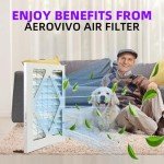 10x10x1 MERV 13 Pleated Air Filters - 2-Pack