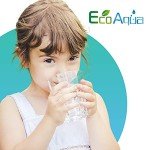 EcoAqua WF1CB Water Filter Replacement Pack of 3