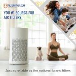 Replacement Aprilaire SpaceGard 401 Air Filters - 2-Pack