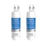 Waterdrop EDR1RXD1 Refrigerator Water Filter - 2 Pack