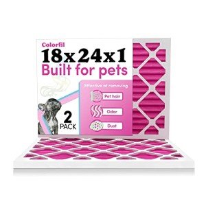 Color Changing Air Filter for Pet Odors - 2 Pack