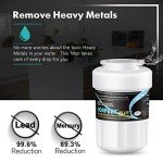 ICEPURE NSF/ANSI Certified Refrigerator Water Filter 3-Pack