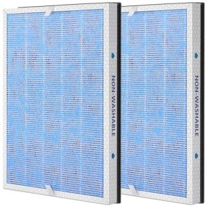 MSA3 True HEPA Replacement Filters (2-Pack)